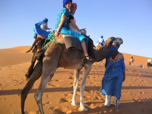 cameltrek